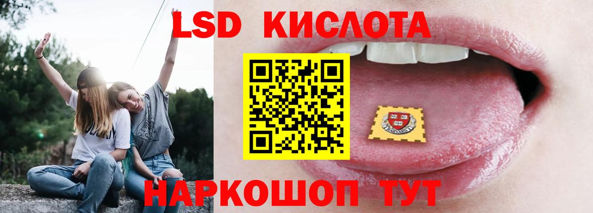 МЕФ Вышний Волочёк