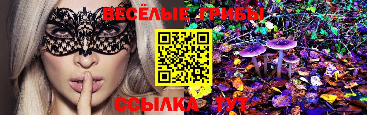 Галлюциногенные грибы прущие грибы Вышний Волочёк