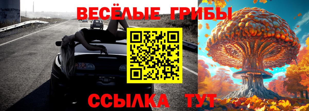 Вышний Волочёк  дарнет шоп  Вход с VPN  Галлюциногенные грибы Cubensis 